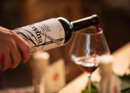 Pouring red wine